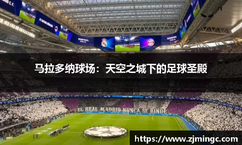 博鱼.体育官网