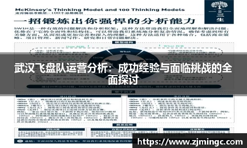 武汉飞盘队运营分析：成功经验与面临挑战的全面探讨