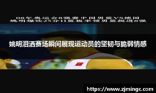 博鱼中国官方入口