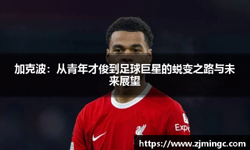 博鱼中国官方网站