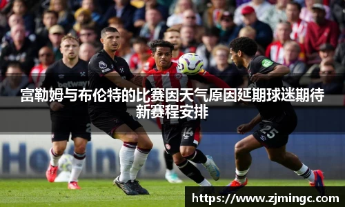 博鱼中国官方入口