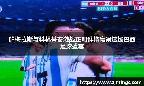 博鱼.体育官网